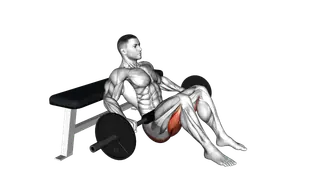 Barbell Hip Thrust exercise