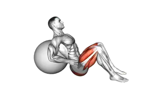 Lying Hip Lift (on stability ball) exercise