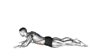 Lying (prone) Abdominal Stretch exercise