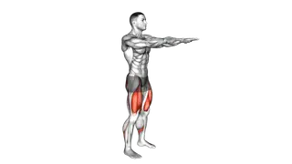 Bodyweight Squat exercise