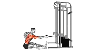 Cable one arm twisting seated row exercise