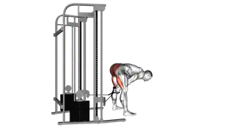 Cable pull through exercise