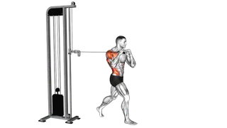 Cable Twisting Standing One Arm Chest Press exercise
