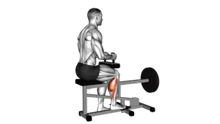 Lever Seated One Leg Calf Raise exercise