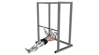 Underhand Grip Inverted Back Row exercise