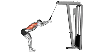 Cable Standing Lat Pushdown (rope equipment) exercise