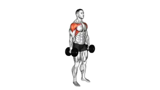Dumbbell Standing Alternate Vertical Front Raises exercise