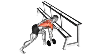 Dumbbell One Arm Row (rack support) exercise