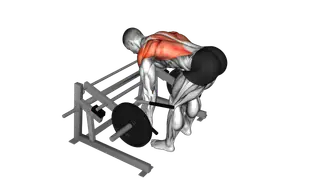 Lever Row (plate loaded) exercise