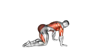 Bird Dog male exercise