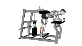 Lever Donkey Calf Raise exercise