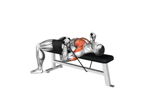 Band Bench Press exercise