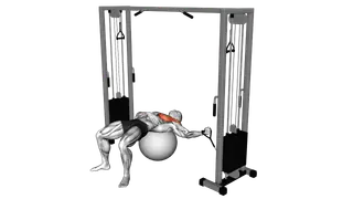 Cable One Arm Fly on Exercise Ball exercise