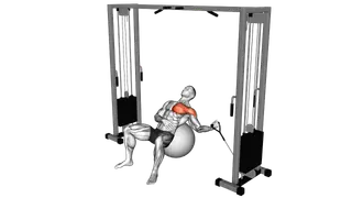 Cable One Arm Incline Fly on Exercise Ball exercise
