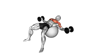 Dumbbell Fly on Exercise Ball exercise