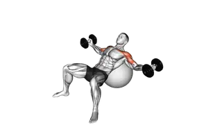 Dumbbell Incline Fly on Exercise Ball exercise