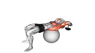 Dumbbell Lying Pullover on Exercise Ball exercise