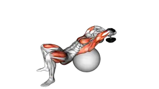 Dumbbell Pullover Hip Extension on Exercise Ball