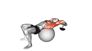 Dumbbell Pullover on Exercise Ball exercise