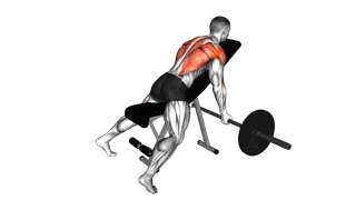 Barbell Reverse Grip Incline Bench Row exercise