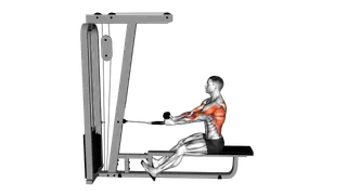 Cable Rope Seated Row