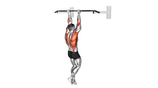 Chin Up exercise
