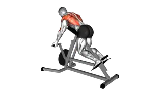 Lever Reverse T Bar Row exercise
