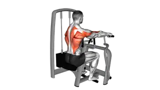 Lever Seated Row