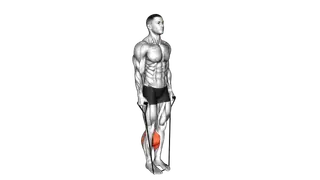 Band Two Legs Calf Raise (Band under both legs) exercise