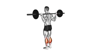 Barbell Floor Calf Raise exercise