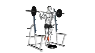 Barbell Standing Calf Raise exercise