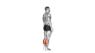 Bodyweight Standing Calf Raise exercise