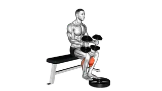 Dumbbell Seated Calf Raise exercise