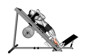 Hack One Leg Calf Raise exercise