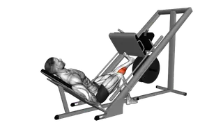 Sled One Leg Calf Press on Leg Press exercise