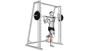 Smith One Leg Floor Calf Raise exercise