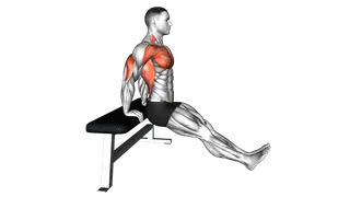 Bench Dip on Floor exercise