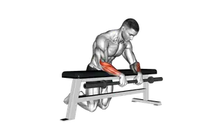 Barbell Palms Down Wrist Curl Over A Bench exercise