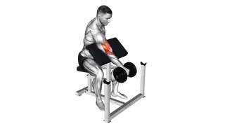 Dumbbell One Arm Reverse Preacher Curl exercise