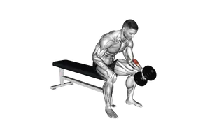 Dumbbell One Arm Seated Neutral Wrist Curl exercise