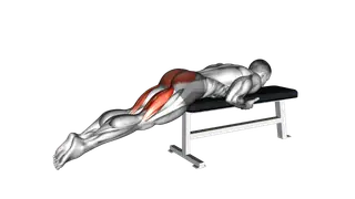 Reverse Hyper on Flat Bench exercise