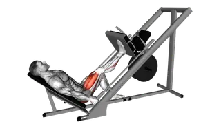 Sled 45 degrees One Leg Press exercise