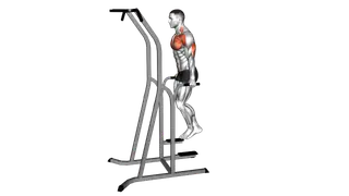Chest Dip (on dip pull up cage) exercise