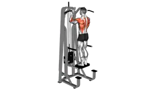 Lever Assisted Standing Chin Up exercise