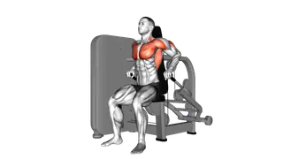 Lever Seated Dip exercise