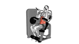 Lever Seated Crunch exercise