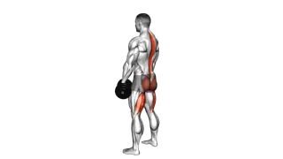 Dumbbell Romanian Deadlift exercise