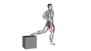 One Leg Squat exercise