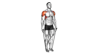 Band Lateral Raise exercise