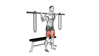 Barbell Weighted Chains Bench Squat